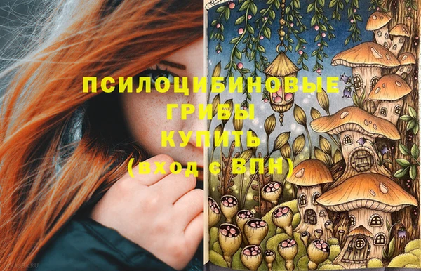 мдпв Абдулино