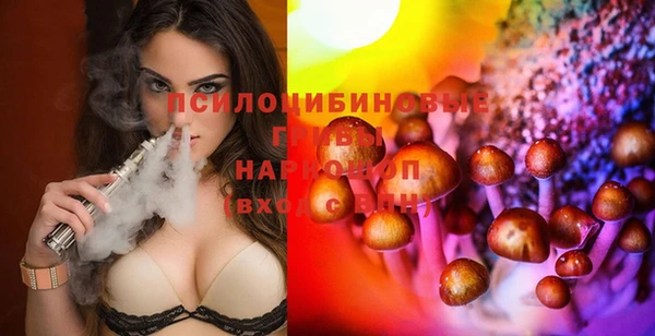 apvp Абаза