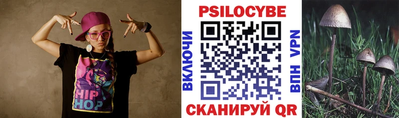 Псилоцибиновые грибы Psilocybine cubensis  Северская 
